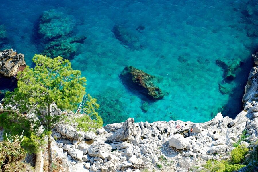 From Naples: Pompeii and Amalfi Coast Full-Day Private Tour - Who this tour fits best