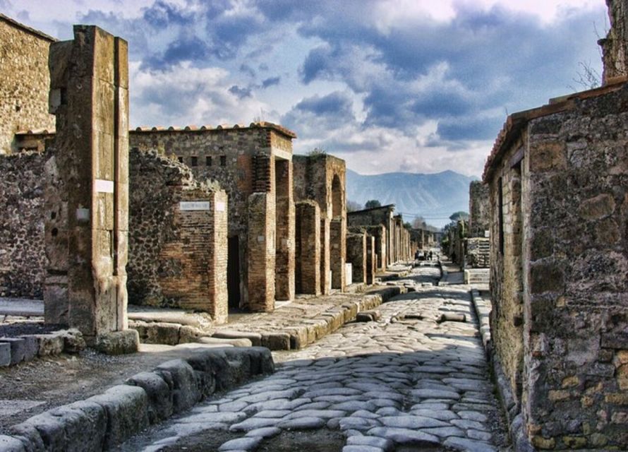 From Naples: Pompeii and Herculaneum VIP Tour with Lunch - What This VIP Tour Actually Gets You