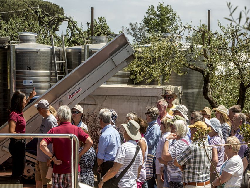 From Naples: Pompeii and Wine Tasting Tour with Lunch - Pompeii Archaeological Site: What 2 Hours Can Really Teach You