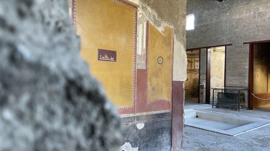 From Naples: Pompeii Guided Tour with Skip-the-Line Tickets - Key points before you go