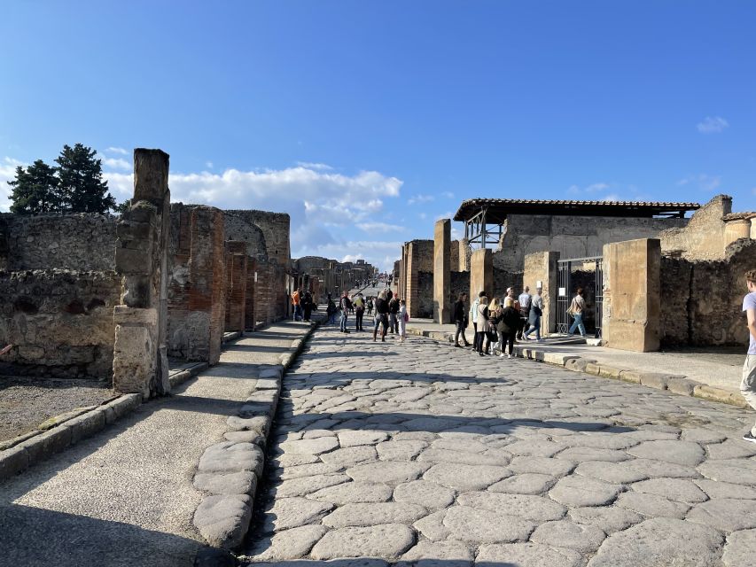 From Naples: Pompeii Guided Tour with Skip-the-Line Tickets - Why skip-the-line tickets make a difference at Pompeii