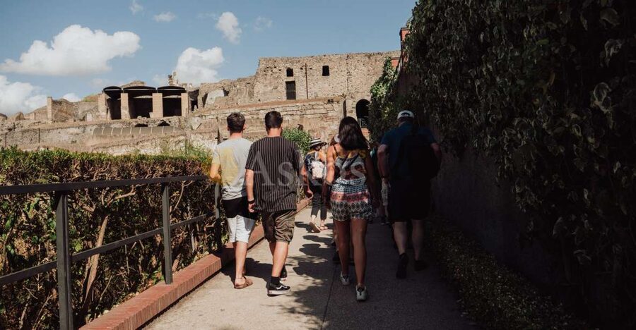 From Naples: Pompeii & Herculaneum with Archaeologist Guide - Value for money: what $168.79 buys you in real time