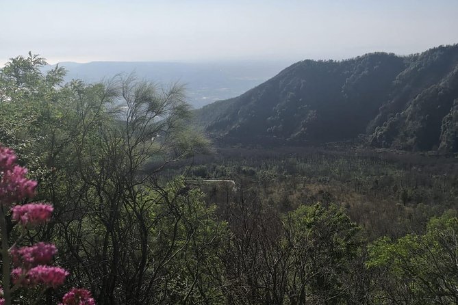 From Naples: Pompeii & Mount Vesuvius Full-Day Tour with Lunch - Climbing Vesuvius: Views Pay Off, Timing Can Be Tight