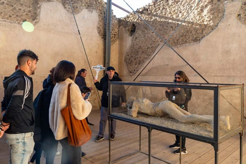 From Naples: Pompeii Private Tour with Transfer and Guide - Live guide vs audio: how to choose the format that fits you