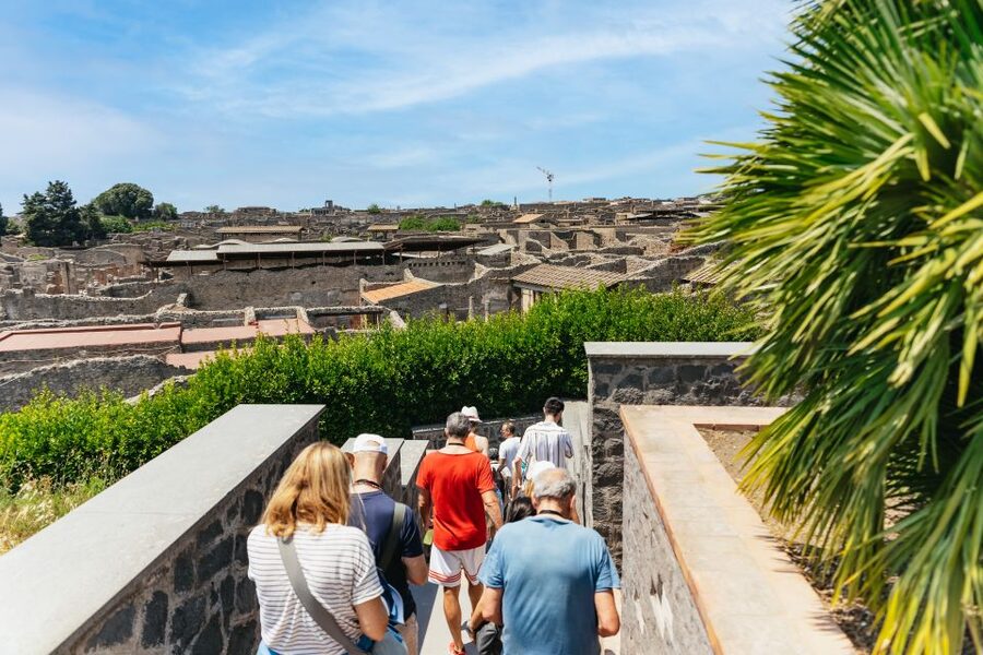From Naples: Pompeii Ruins & Mount Vesuvius Day Tour - Practical Tips That Make the Day Smoother