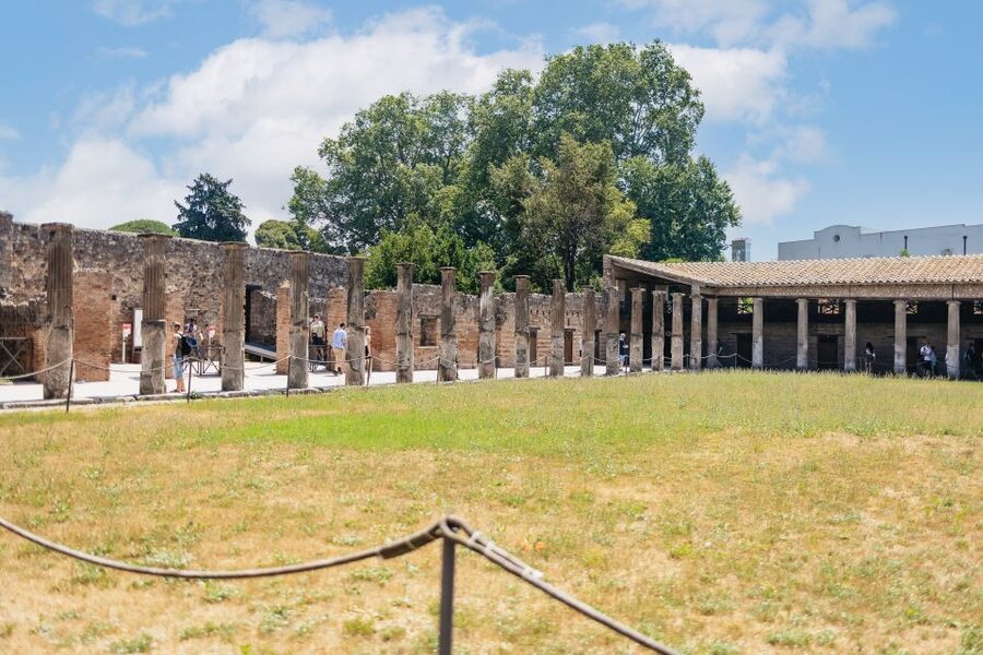 From Naples: Pompeii Ruins & Mount Vesuvius Day Tour - Price and Value: About $120.84 for a Two-Site Day