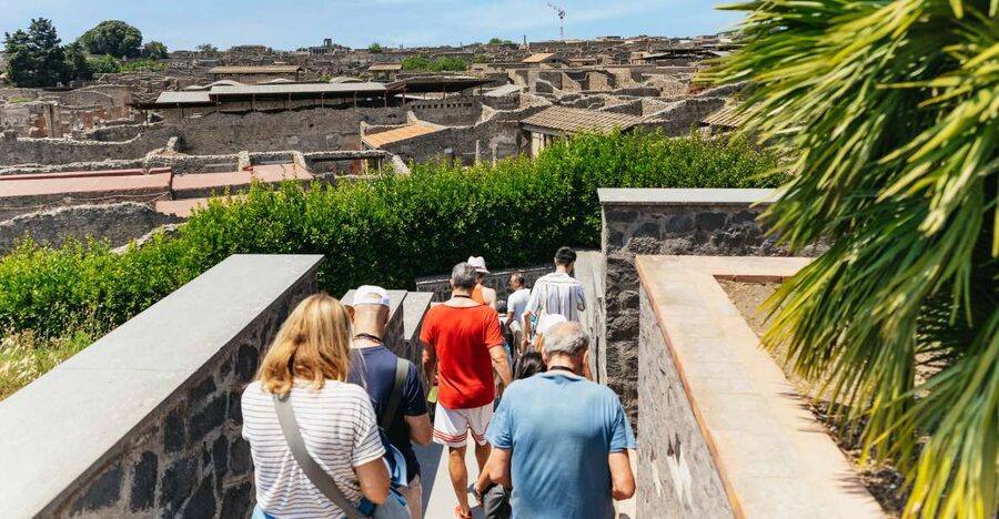 From Naples: Pompeii Ruins & Mount Vesuvius Day Tour - Who This Tour Suits Best, and Who Might Want a Different Plan