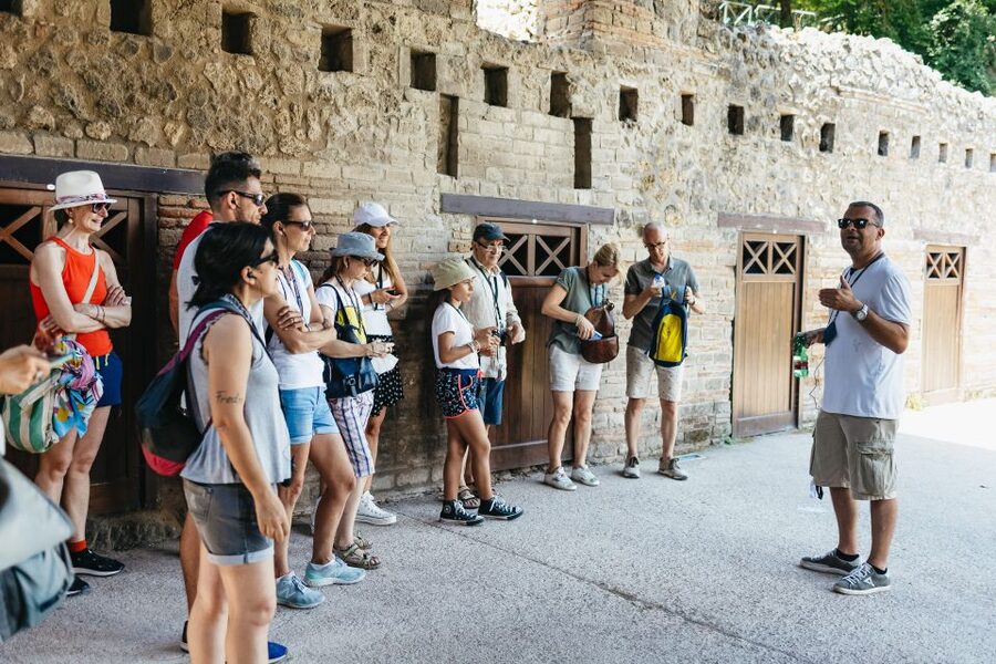 From Naples: Pompeii Ruins & Mount Vesuvius Day Tour - Getting From Naples: Pickup, Transfers, and the Real Timing