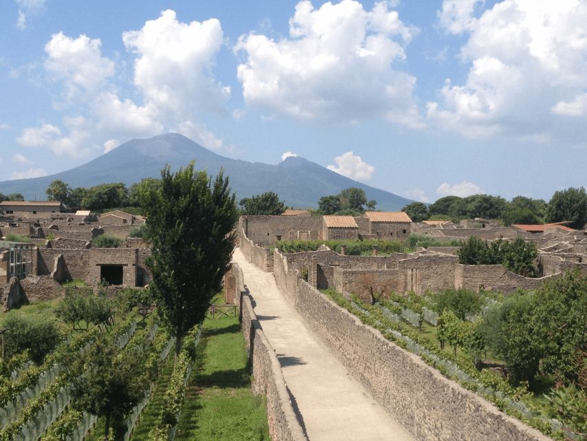 From Naples: Pompeii Ruins VIP Guided Tour - VIP-style logistics that actually save your time