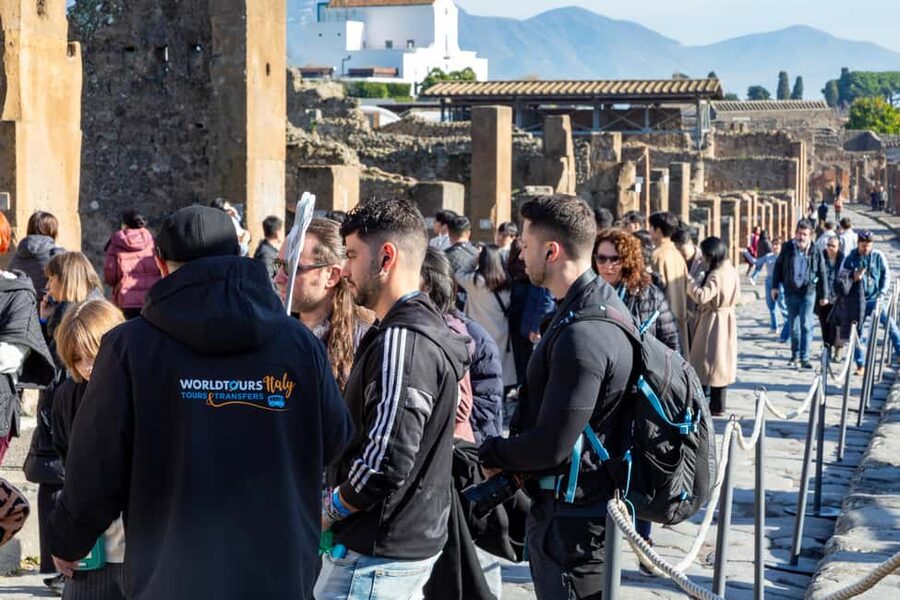 From Naples: Pompeii Skip-the-Line Entry Ticket and Tour - Pompeii from Naples, built for people with limited time