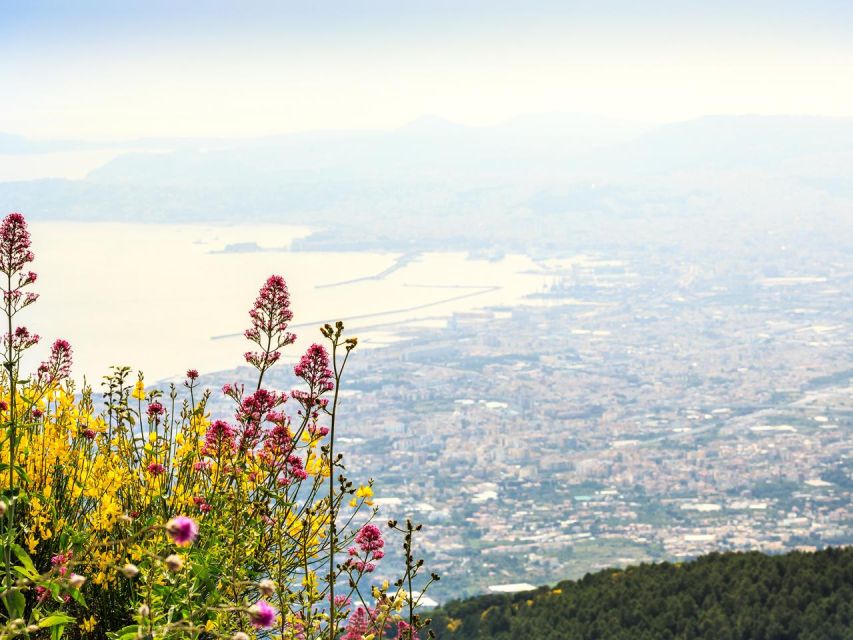 From Naples_Pompeii&Vesuvius - Vesuvius Stop: 1000 Meters Up and 1.5 Hours of Free Time