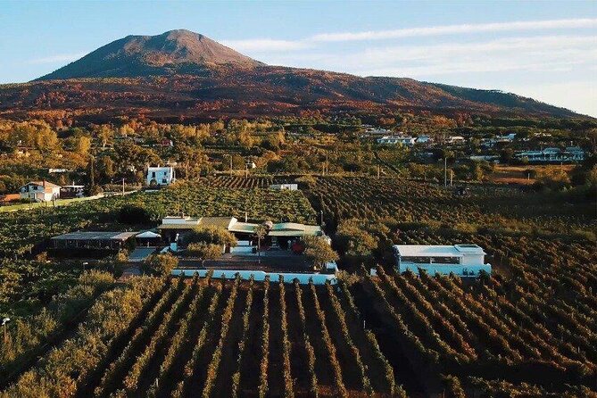 From Naples: Pompeii & Wine Tasting" Private Day Tour - Door-to-Door Naples Pickup That Actually Saves Energy