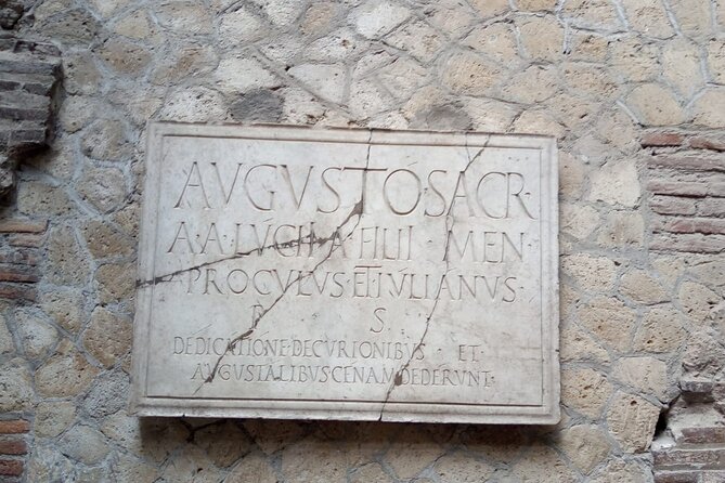 From Naples: Pompeii & Wine Tasting" Private Day Tour - What the Driver-Guides Add to Pompeii