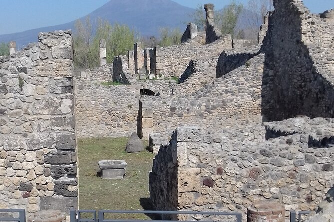 From Naples: Pompeii & Wine Tasting" Private Day Tour - Wine Tasting: A Reason to Stay a Little Curious