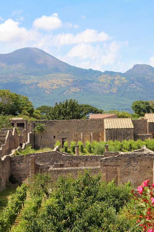 From Naples Port:Pompeii+Vesuvius tour - Pompeii With Skip-the-Line Access and Audio Routes