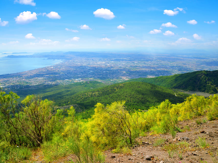 From Naples Port: Vesuvius and Pompeii Tour with Tickets - Who this Vesuvius and Pompeii day trip is best for