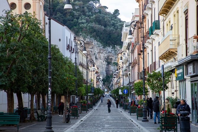 From Naples: Private Tour Pompei and Sorrento with lunch - Should you book this Naples to Pompeii and Sorrento tour?