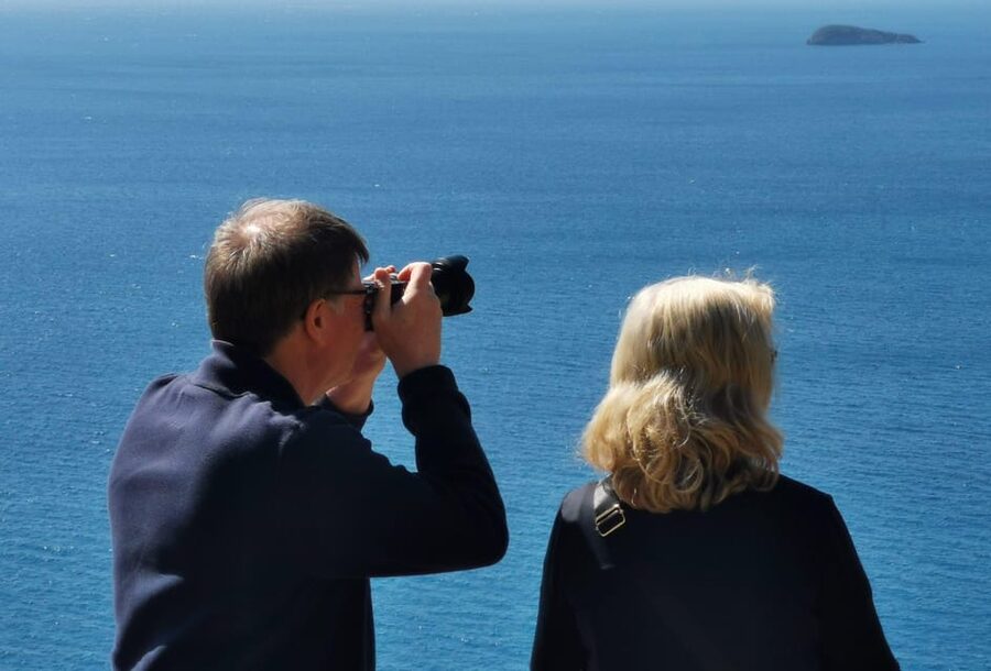 From Naples: Private Tour to Pompeii, Sorrento, and Positano - Key highlights that make this day work