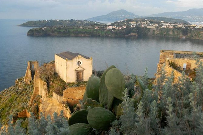 From Naples: Procida Island Day Trip with Lunch - Procida is the anti-rush day trip from Naples