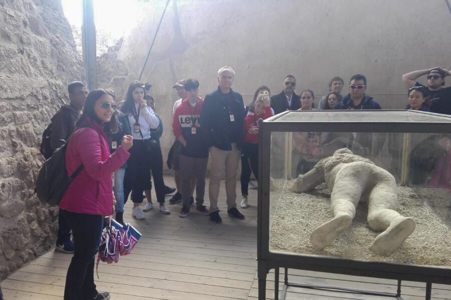 From Naples: Ruins of Pompeii - The Bus Experience: Multilingual Help and a Comfortable Start