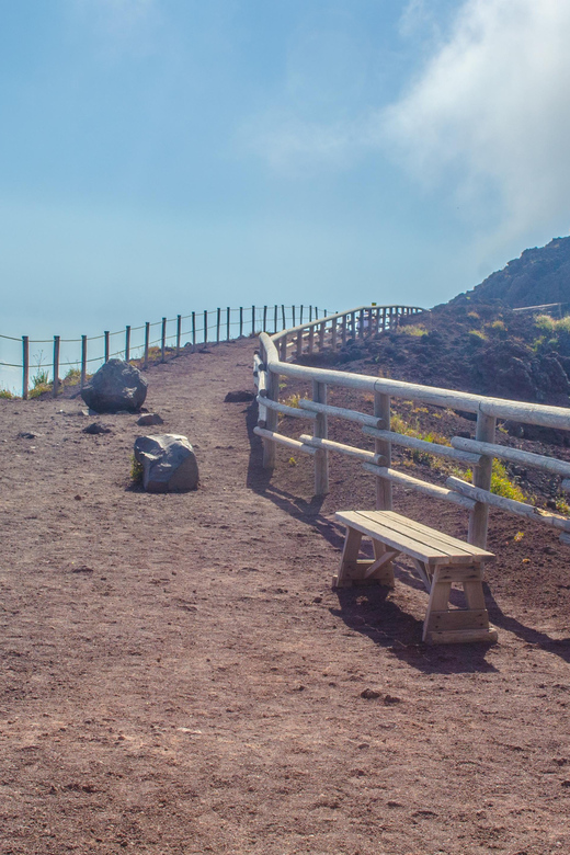 From Naples: Vesuvius and Herculaneum Day Trip with Tickets - Vesuvius Crater Time: What 1.5 Hours Lets You Do