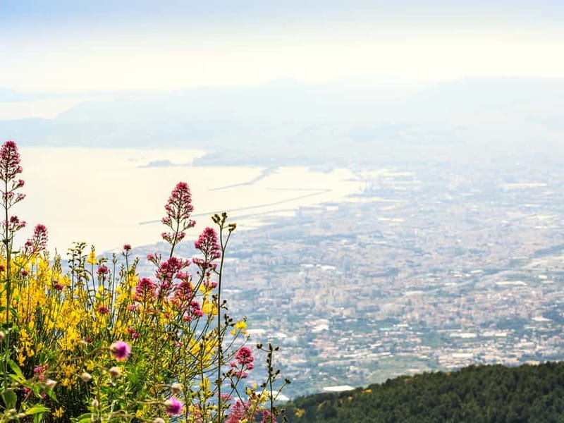 From Naples: Vesuvius Easy Tour - Crater time, fumaroles, and the view from above