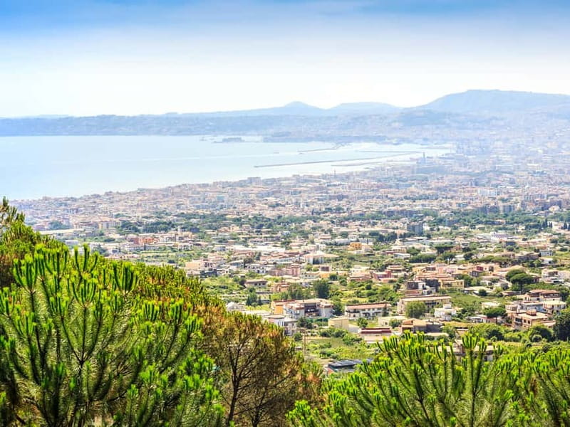 From Naples: Vesuvius Easy Tour - Walking through the itinerary like a checklist