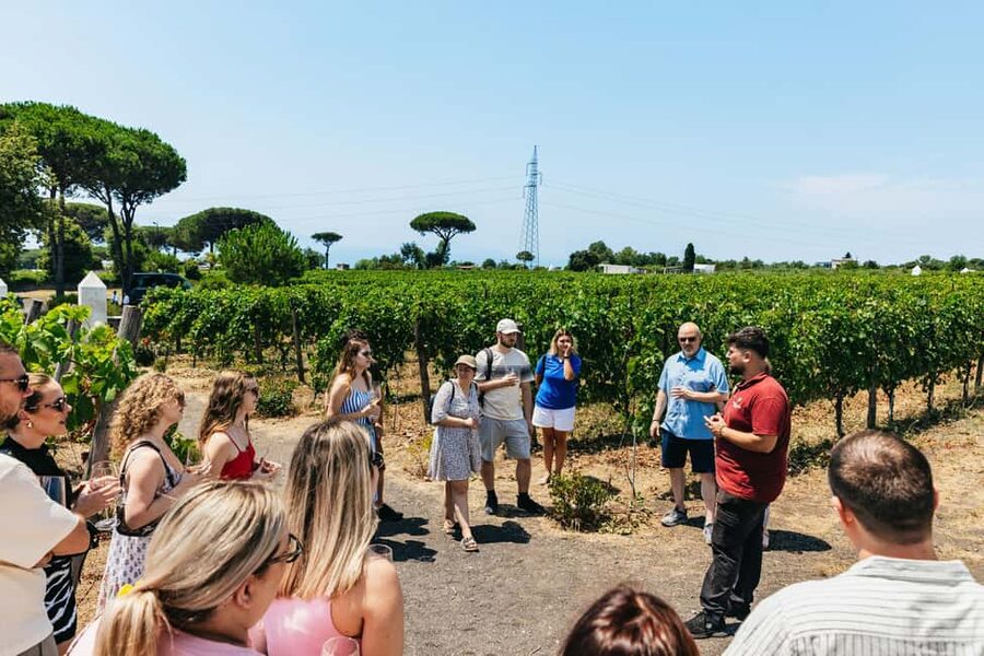 From Naples: Wine Tasting Tour on Vesuvius Slopes with Lunch - Timing, group size, and what you’ll feel during the 4 hours
