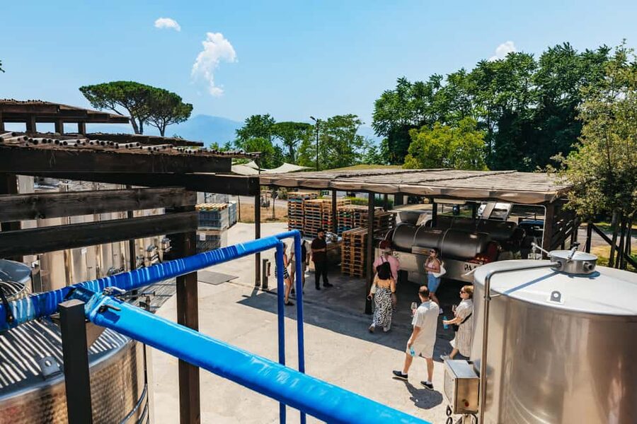 From Naples: Wine Tasting Tour on Vesuvius Slopes with Lunch - Value and practical expectations: what’s included, what’s not, and how to plan