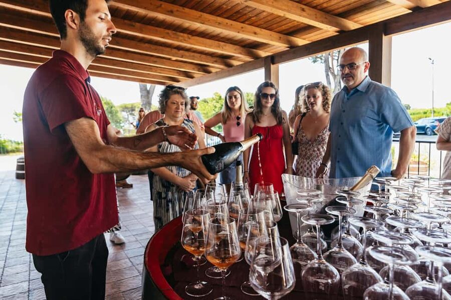 From Naples: Wine Tasting Tour on Vesuvius Slopes with Lunch - Should you book this Vesuvius wine tasting with lunch?