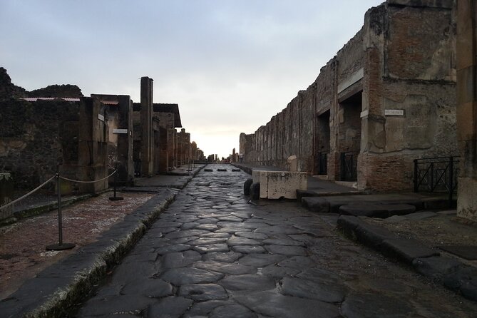 From Pompeii: Day Tour of Pompeii and Vesuvius with Bus Transfer - Break time and food reality, because this is a timed day