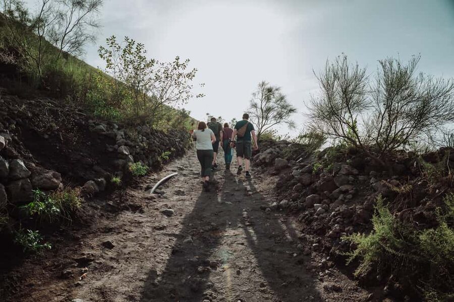 From Pompeii: Mount Vesuvius Guided Tour with Transfer - Guides Make It: Mario, Simona, and the Volcanologist at the Top