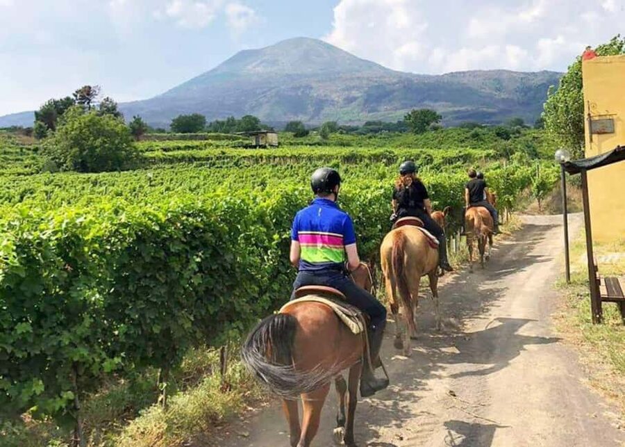 From Pompeii: Mount Vesuvius Horseback Riding Tour - Key highlights that make this ride worth your time