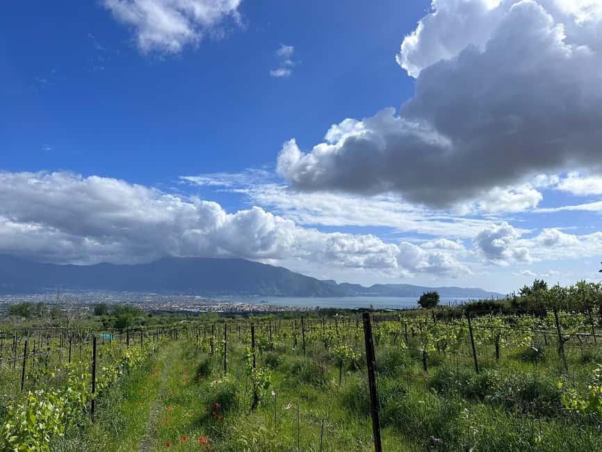 From Pompeii: Mount Vesuvius Horseback Riding Tour - Why Ride Vesuvius from the Saddle Instead of From the Road?