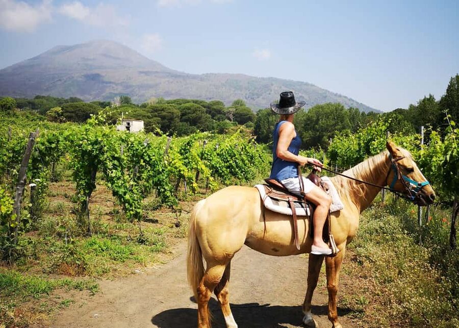 From Pompeii: Mount Vesuvius Horseback Riding Tour - Practicalities: what to bring, comfort notes, and who should skip it