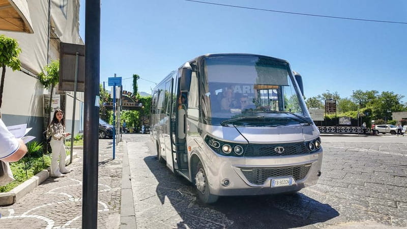 From Pompeii: Mount Vesuvius with bus, ticket and audioguide - Why this Pompeii to Vesuvius bus setup saves your energy