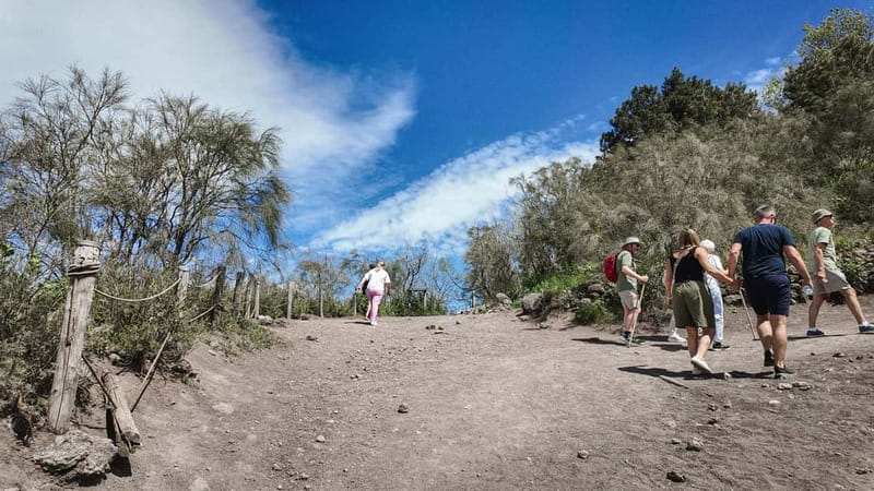 From Pompeii: Mount Vesuvius with bus, ticket and audioguide - Who this tour is best for, and who should consider other options