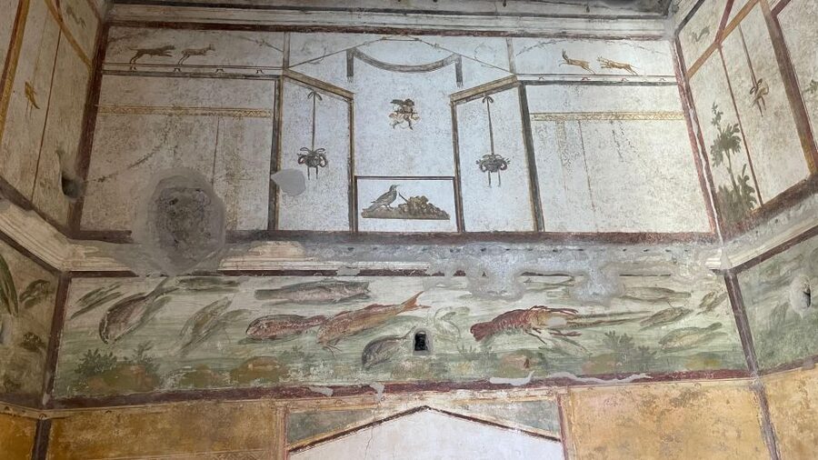 From Positano: Pompeii & Vesuvius tour small group - Price and value: is 225.44 per person worth it?