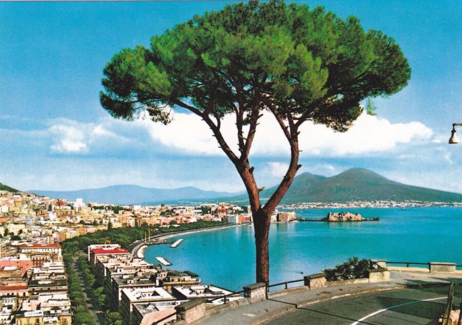 From Rome: Full Day Pompeii and Naples Tour - Why the guide’s Pompeii facts make a big difference
