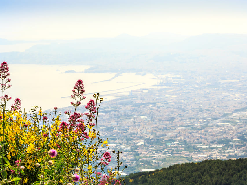 From Salerno: Mount Vesuvius and Pompeii Ruins Day Trip - Price and value: is $124.61 a fair deal?