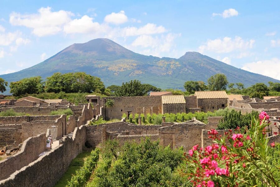 From Salerno_Pompeii Express_bus+ skip the line ticket - Driver Language and Audioguide Choices