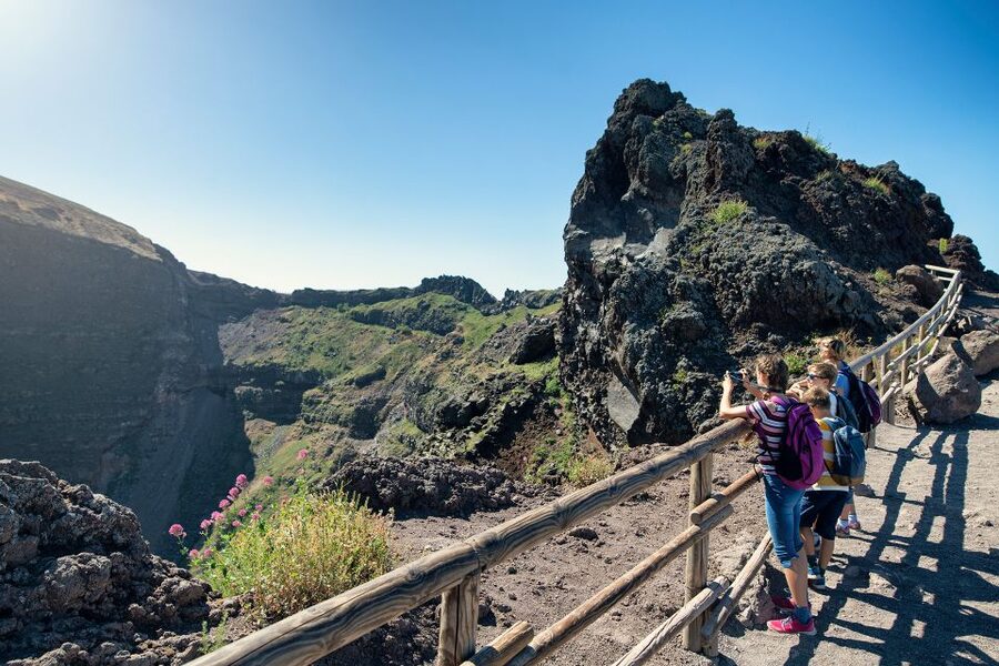 From Sorrento: Pompeii and Vesuvius Tour by Express Train - Who should book this Pompeii and Vesuvius combo