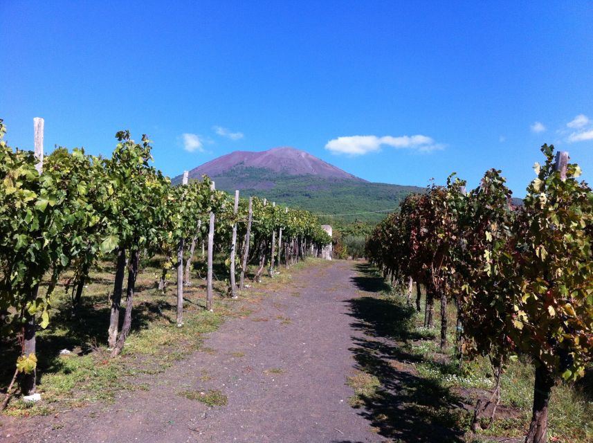From Sorrento: Skip-the-Line Guided Vesuvius Hike and Lunch - Skip-the-line Tickets and the Real Reason to Care