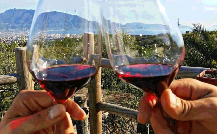 From Sorrento: Skip-the-Line Pompeii Tour and Vineyard Lunch - Who this tour is best for