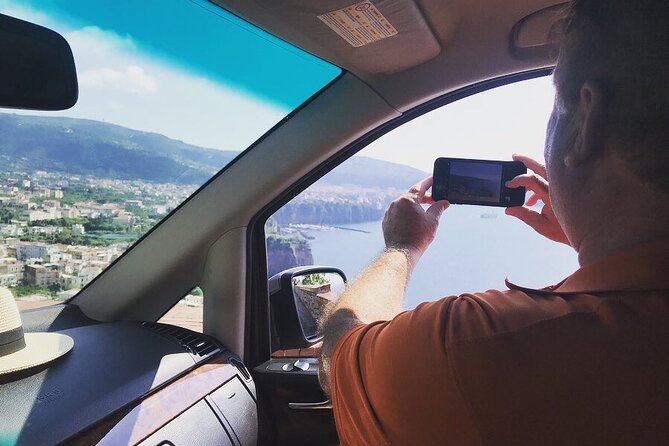 Full Day Private Tour in Pompeii, Vesuvio and Sorrento - Vesuvius National Park: a lunch break at the volcano foot
