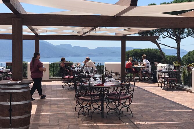 Full Day Private Tour in Pompeii, Vesuvio and Sorrento - Who should book this private Pompeii, Vesuvius, Sorrento tour