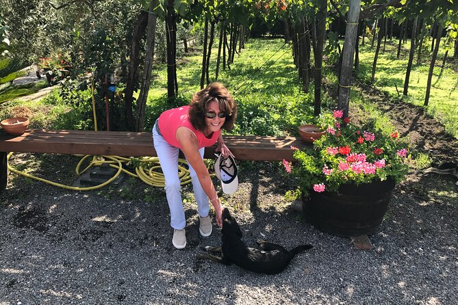 Full Day Private Tour in Pompeii, Vesuvio and Sorrento - FAQ