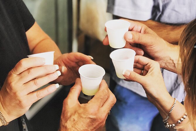 Full Day Private Tour in Pompeii, Vesuvio and Sorrento - Sorrento tasting experience: lemon and olive oil with production demos