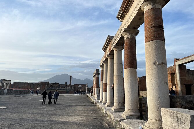 Full Day Private Tour to Pompeii, Herculaneum and Oplontis - Stop 2: Scavi di Oplontis and the quieter villas of Torre Annunziata