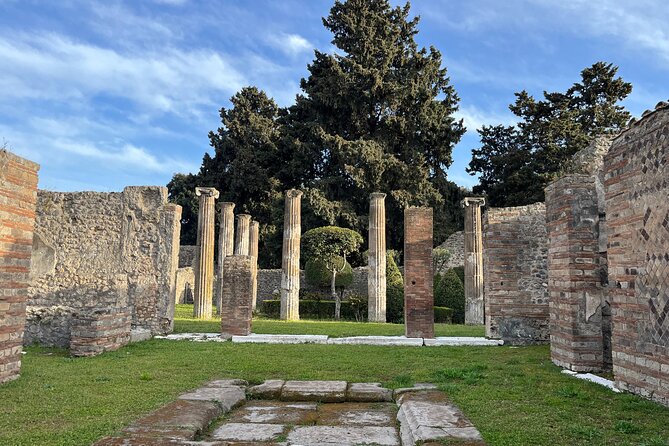 Full Day Private Tour to Pompeii, Herculaneum and Oplontis - The optional lunch near Pompeii, and the wine tasting add-on